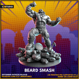 C27 Beard Smash - Marvel Crisis Protocol Proxy - 3D Printed Miniature