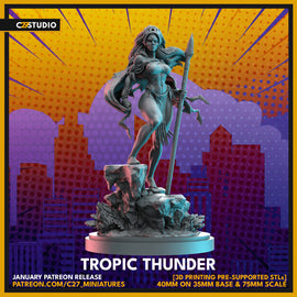 C27 Tropic Thunder - Marvel Crisis Protocol Proxy - 3D Printed Miniature