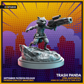 C27 Trash Panda 2 - Marvel Crisis Protocol Proxy - 3D Printed Miniature