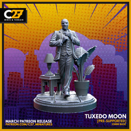 Tuxedo Moon - Marvel Crisis Protocol - 3D Printed Miniature
